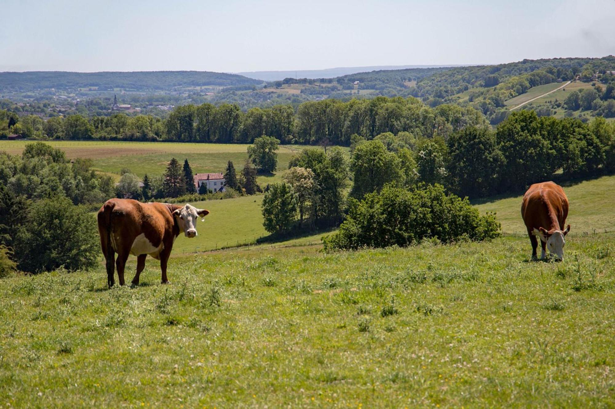 Bnb Het Geluk Van Limburg Mechelen Exteriér fotografie
