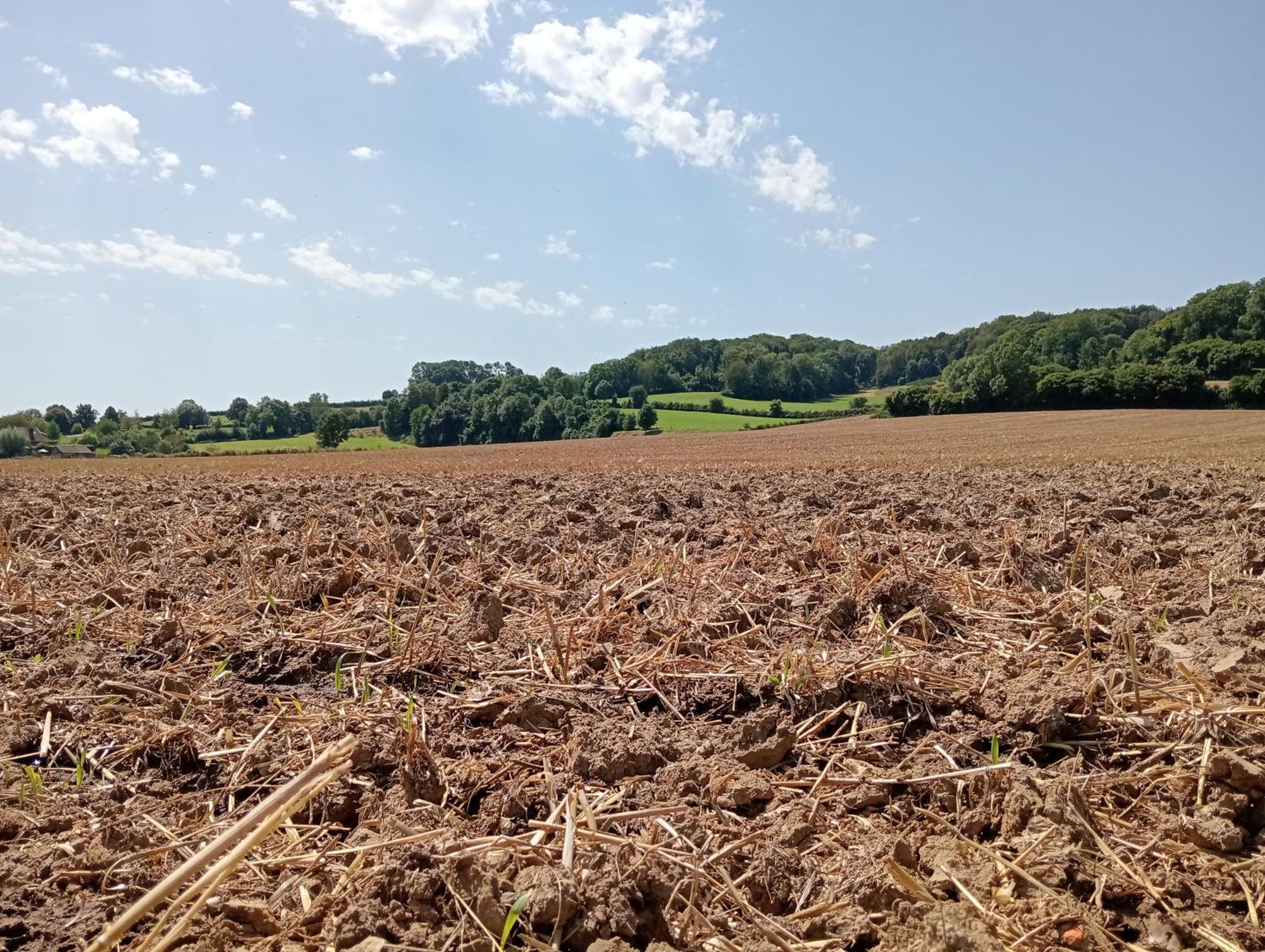 Bnb Het Geluk Van Limburg Mechelen Exteriér fotografie